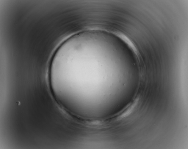 X0000094321149200711161924