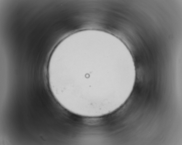 X0000094321150200711161924