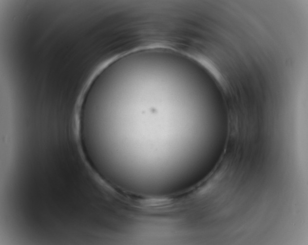 X0000094321151200711161924
