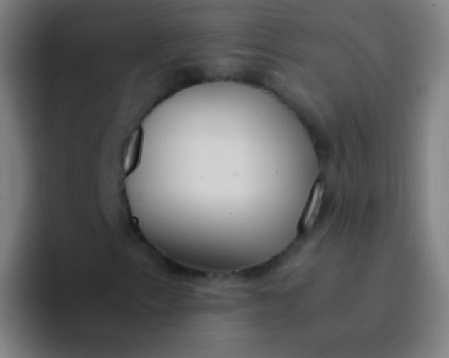 X0000094321153200711161924