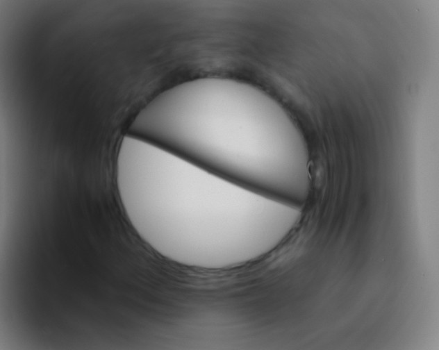 X0000094321156200711161923
