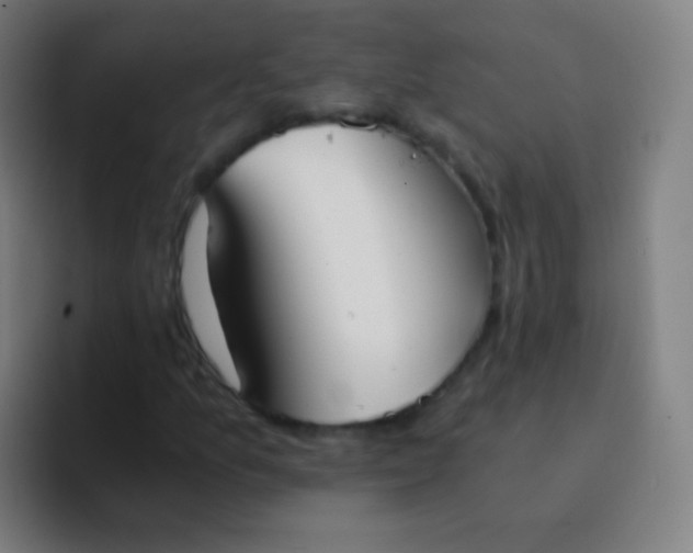 X0000094321157200711161923