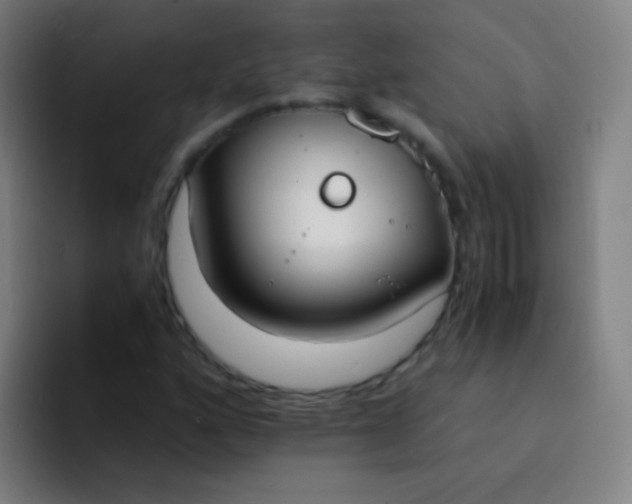X0000094321160200711161923