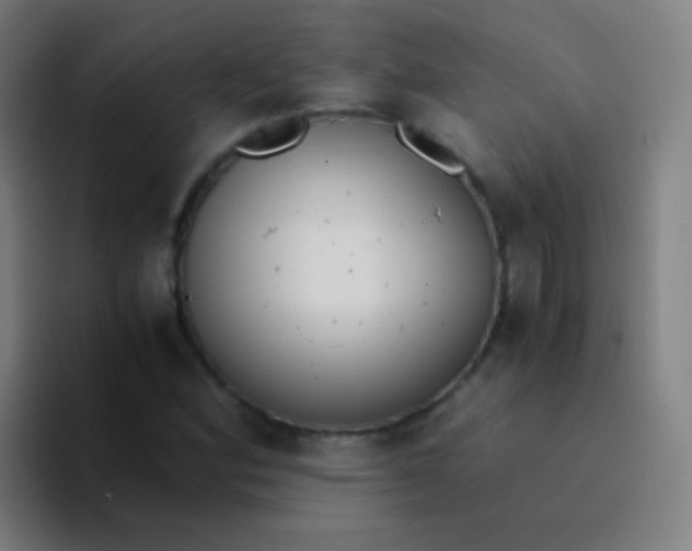 X0000094321164200711161923
