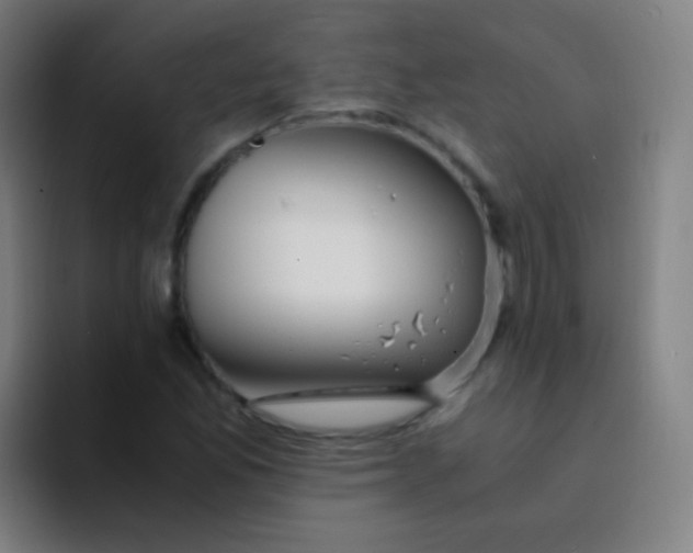 X0000094321165200711161923
