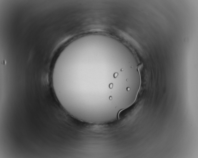 X0000094321166200711161923