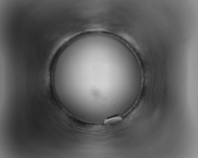 X0000094321167200711161923
