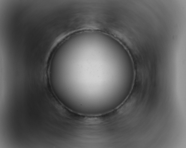 X0000094321168200711161923