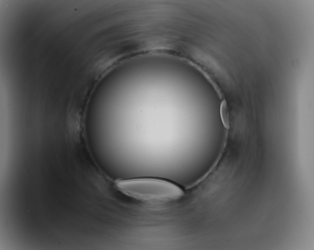 X0000094321169200711161923