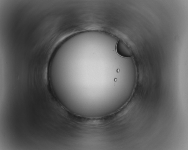 X0000094321174200711161923