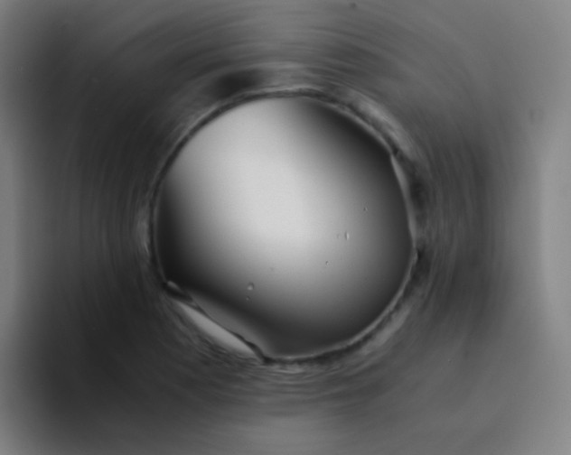 X0000094321177200711161923