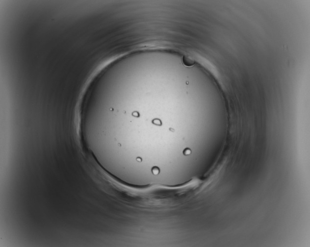 X0000094321179200711161923