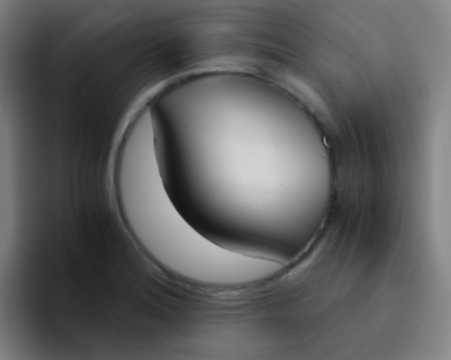 X0000094321180200711161923