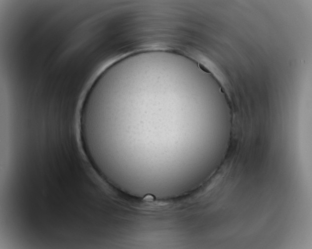 X0000094321187200711161923