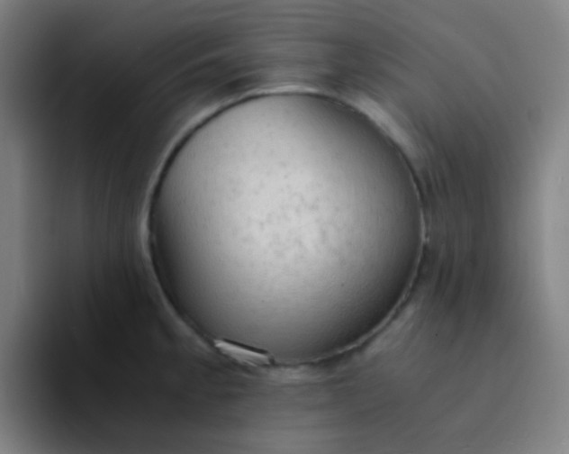 X0000094321189200711161923