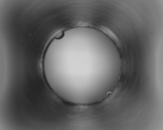 X0000094321190200711161923