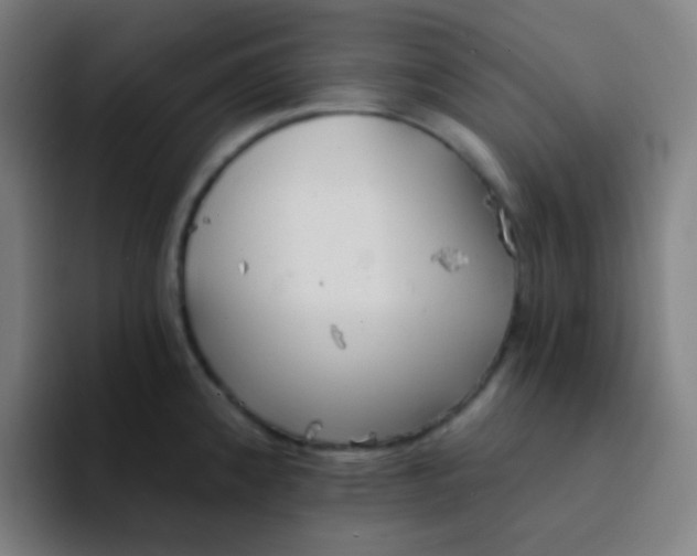 X0000094321192200711161923