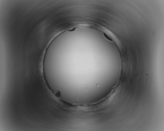 X0000094321194200711161923