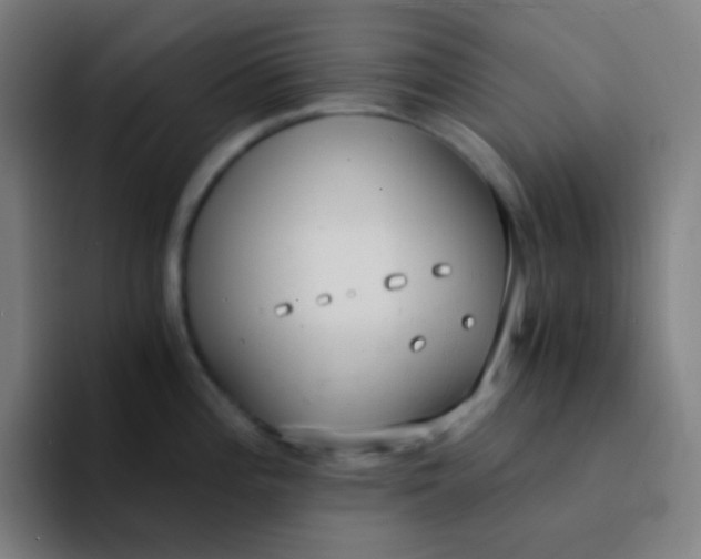 X0000094321196200711161923