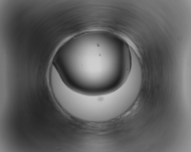 X0000094321197200711161923