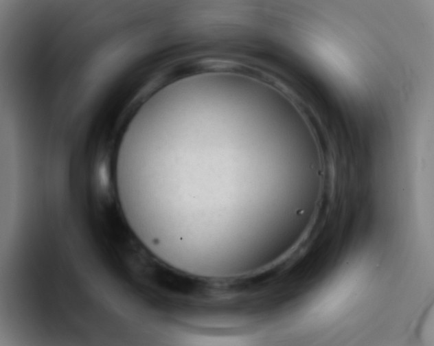 X0000094321198200711161923