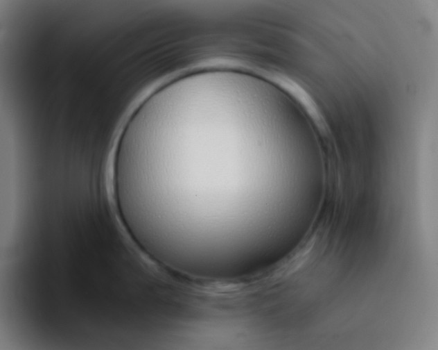 X0000094321199200711161923