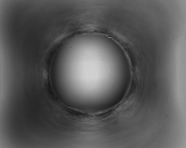 X0000094321206200711161922
