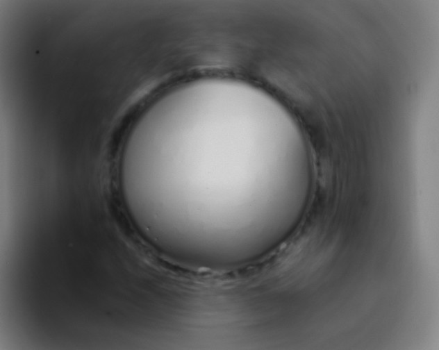 X0000094321208200711161922