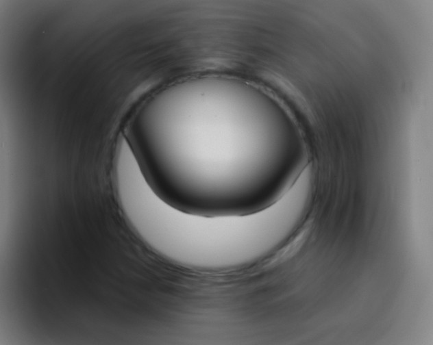 X0000094321210200711161922