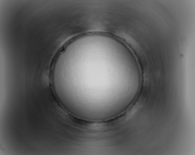 X0000094321212200711161922
