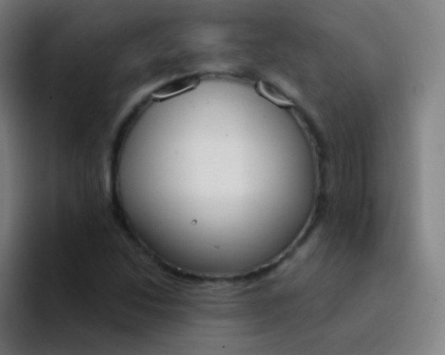 X0000094321214200711161922