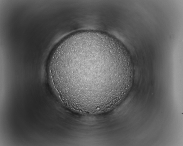 X0000094321215200711161922