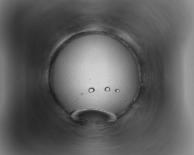 X0000094321216200711161922
