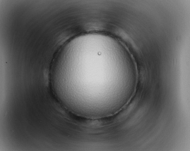 X0000094321217200711161922