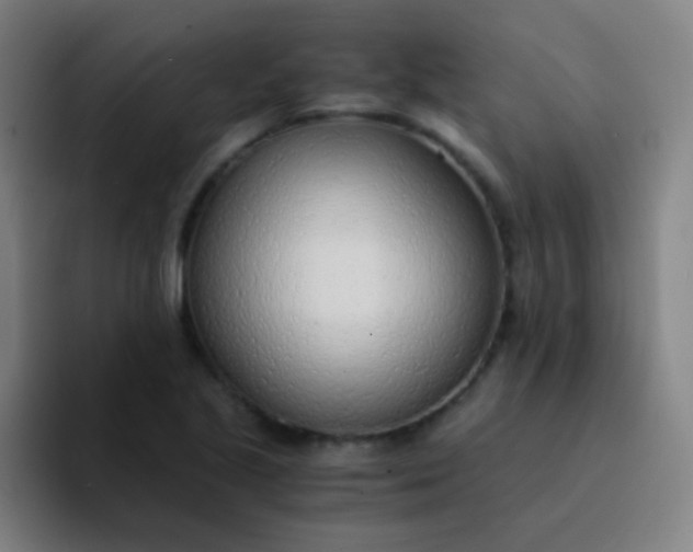 X0000094321221200711161923