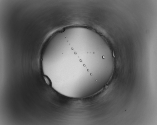 X0000094321222200711161923