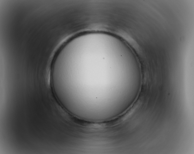 X0000094321224200711161923