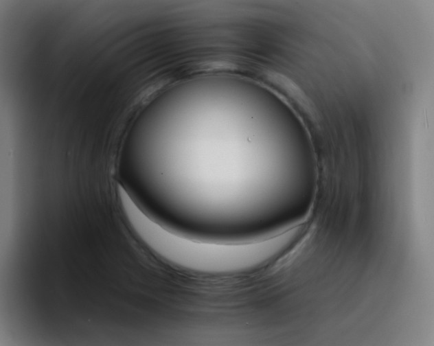 X0000094321225200711161923