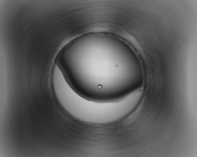 X0000094321226200711161923