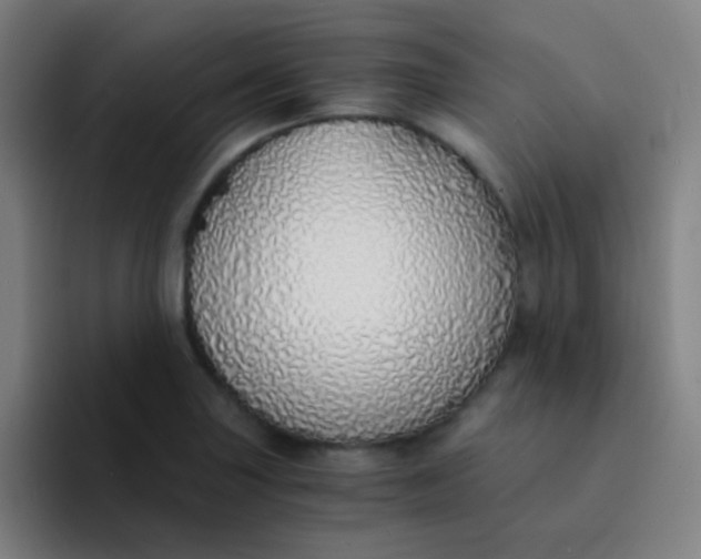 X0000094321227200711161923