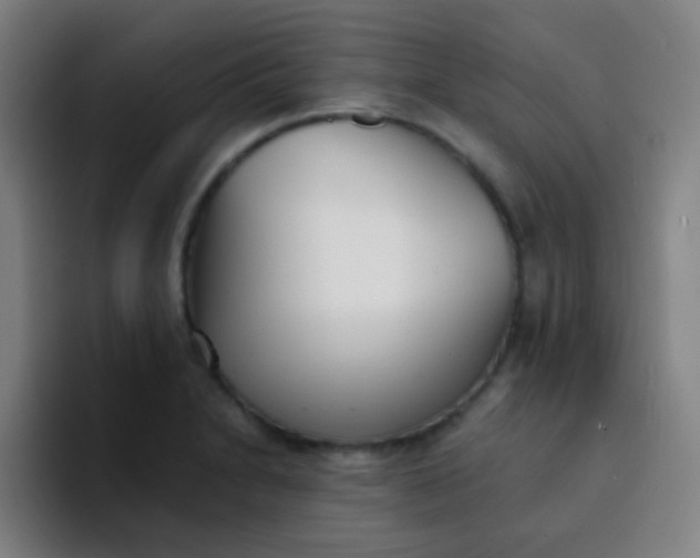 X0000094321230200711161923