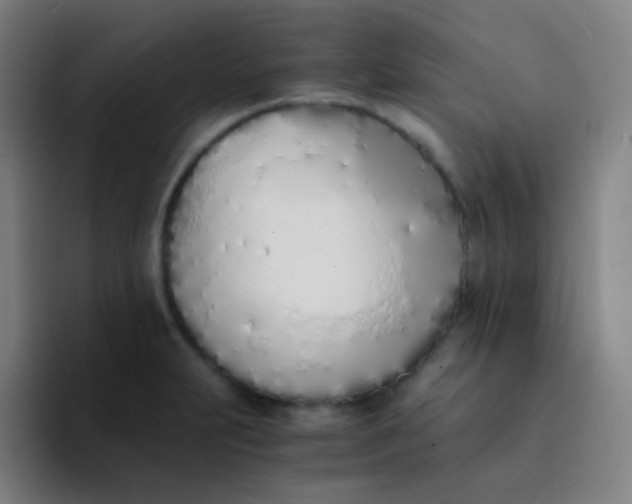 X0000094321231200711161923