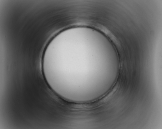 X0000094321232200711161923