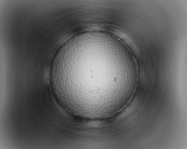 X0000094321233200711161923