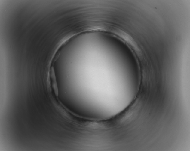 X0000094321234200711161923