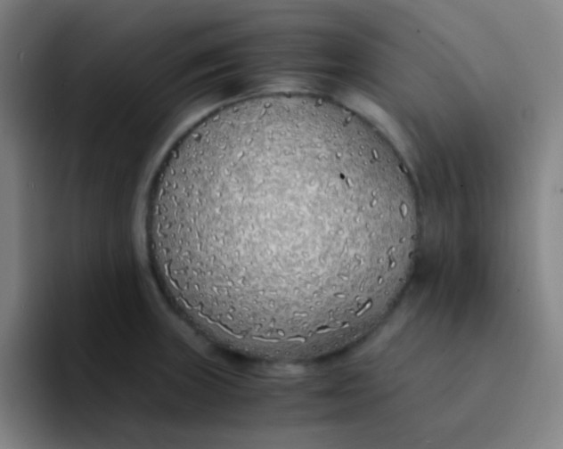 X0000094321235200711161923