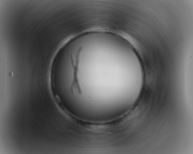 X0000094321237200711161923