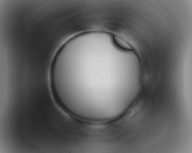 X0000094321239200711161923
