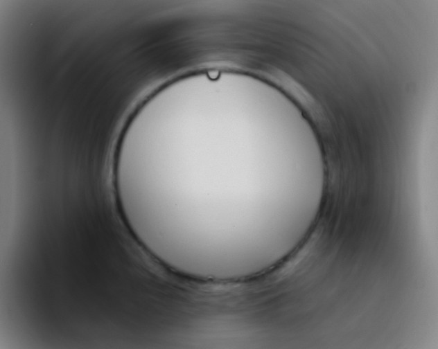 X0000094321240200711161923