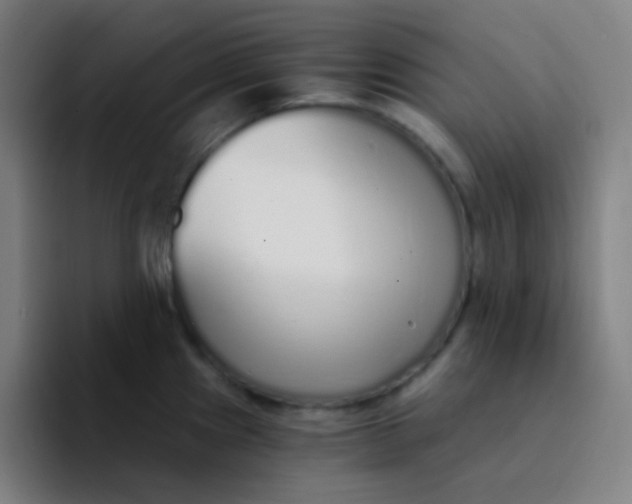 X0000094321241200711161923